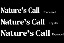 Callum Text Serif | 9 Font