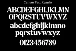 Callum Text Serif | 9 Font