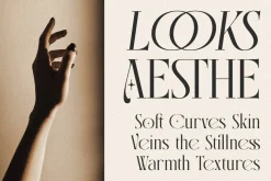 Calmore - Modern Elegant Serif
