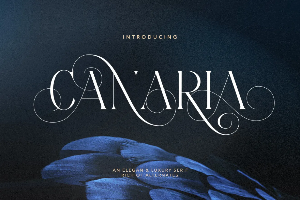 Canaria - Fancy Light Serif