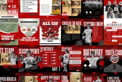 87 Canva Sports Social Media