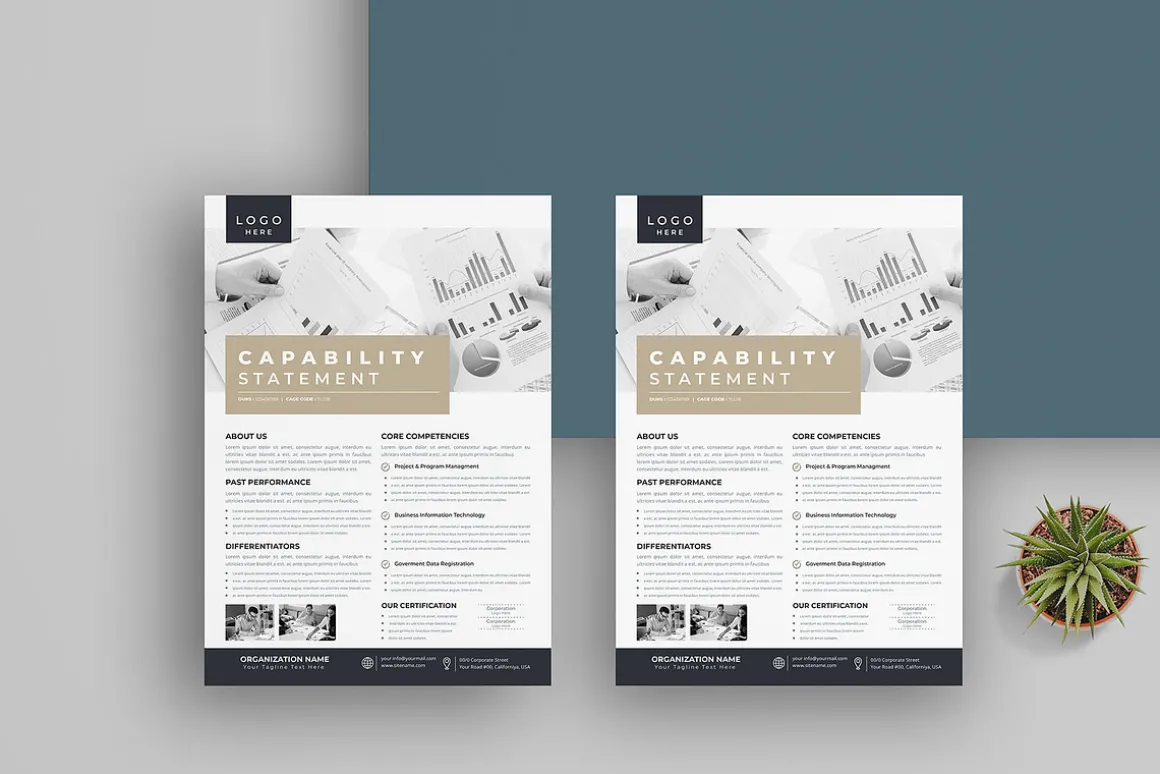 Capability Statement | Word & Indd