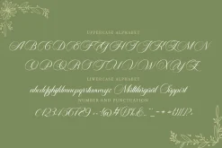 Carista Calligraphy