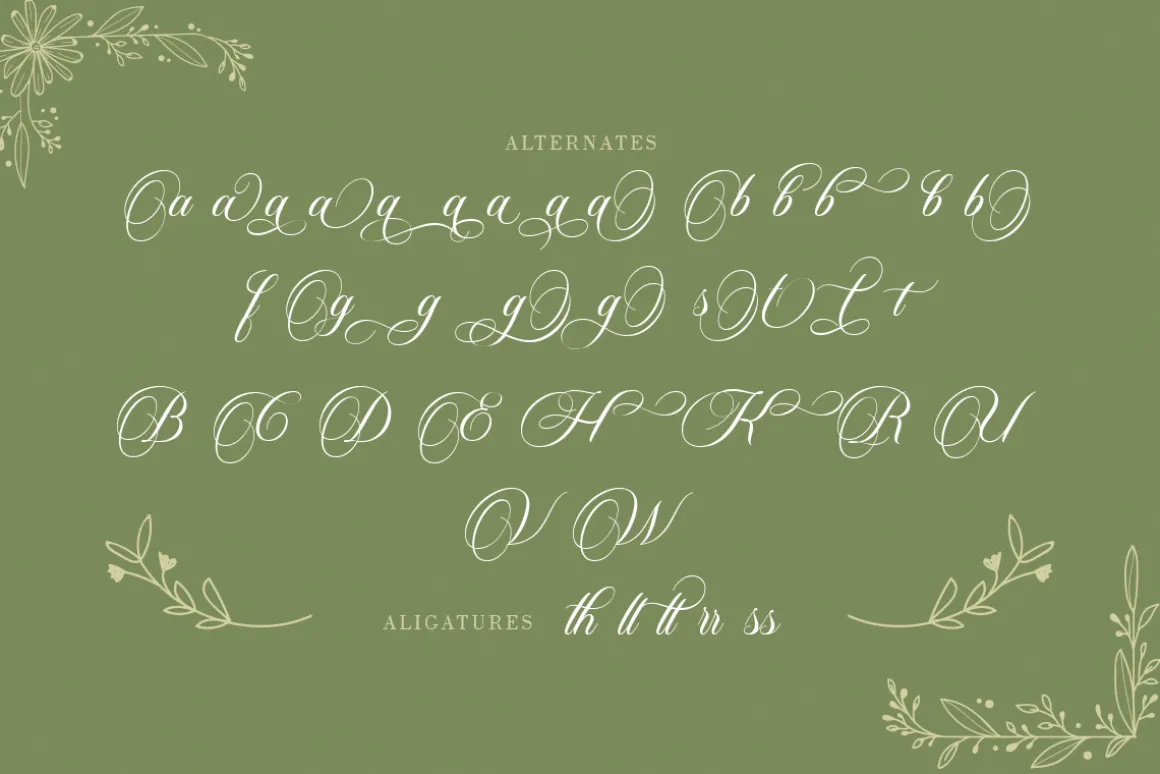 Carista Calligraphy