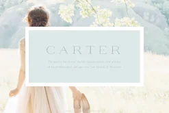 Carter - An All Caps Serif Font