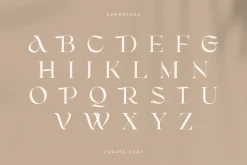 CARVES - Modern Display Font