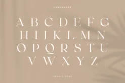 CARVES - Modern Display Font