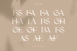 CARVES - Modern Display Font