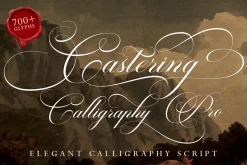 Castering Calligraphy Pro
