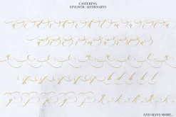Castering Calligraphy Pro