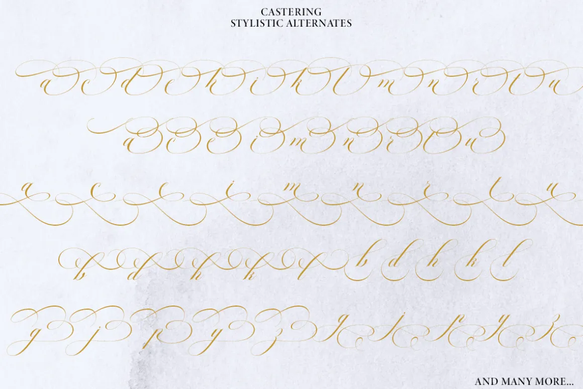 Castering Calligraphy Pro