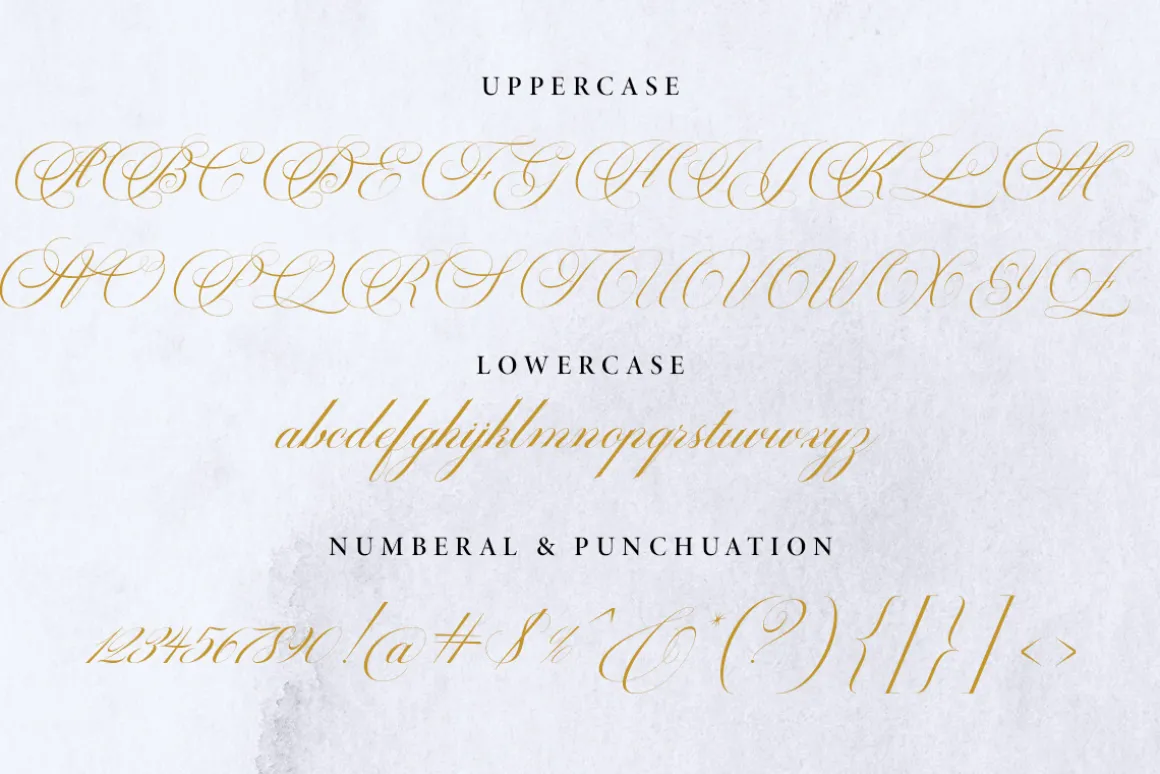 Castering Calligraphy Pro