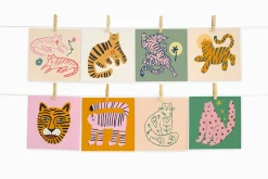 Cats Bundle