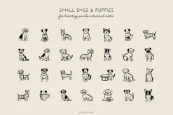 CATS & DOGS illustrations