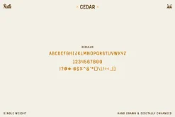 Cedar Display Font