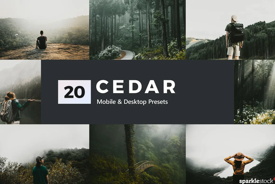 Cedar Lightroom Presets & LUTs