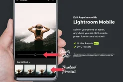 Cedar Lightroom Presets & LUTs