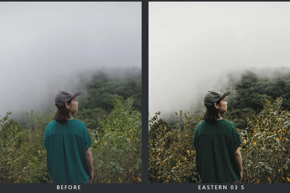 Cedar Lightroom Presets & LUTs