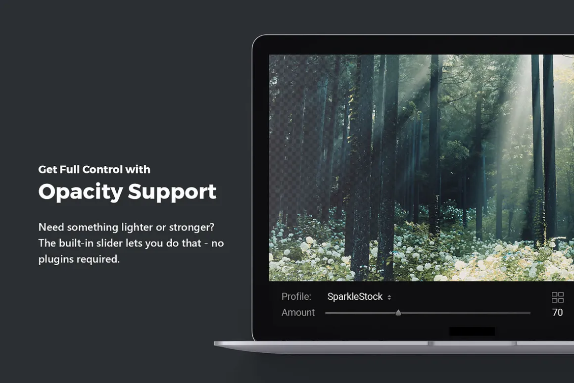Cedar Lightroom Presets & LUTs