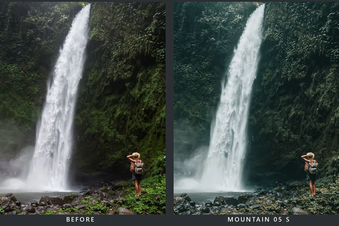 Cedar Lightroom Presets & LUTs