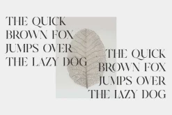 Cerost Modern Ligature Typeface