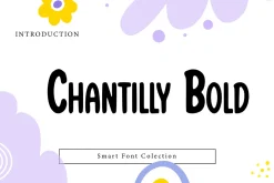 Chantilly Bold