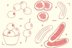 Charcuterie Vector Food Illustration