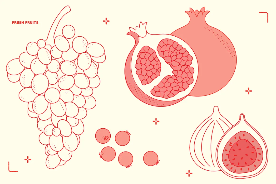 Charcuterie Vector Food Illustration