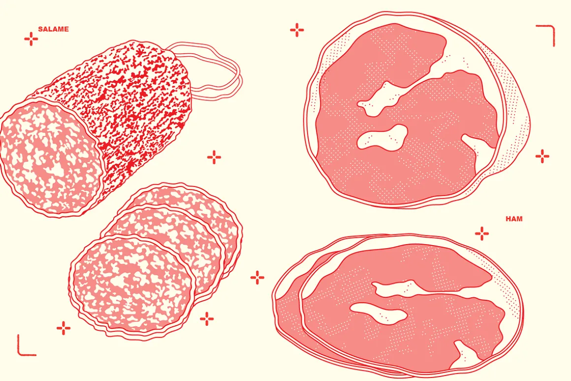 Charcuterie Vector Food Illustration