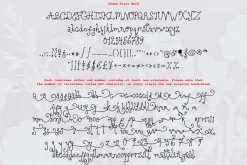 Charm Flora// Curly Font Set