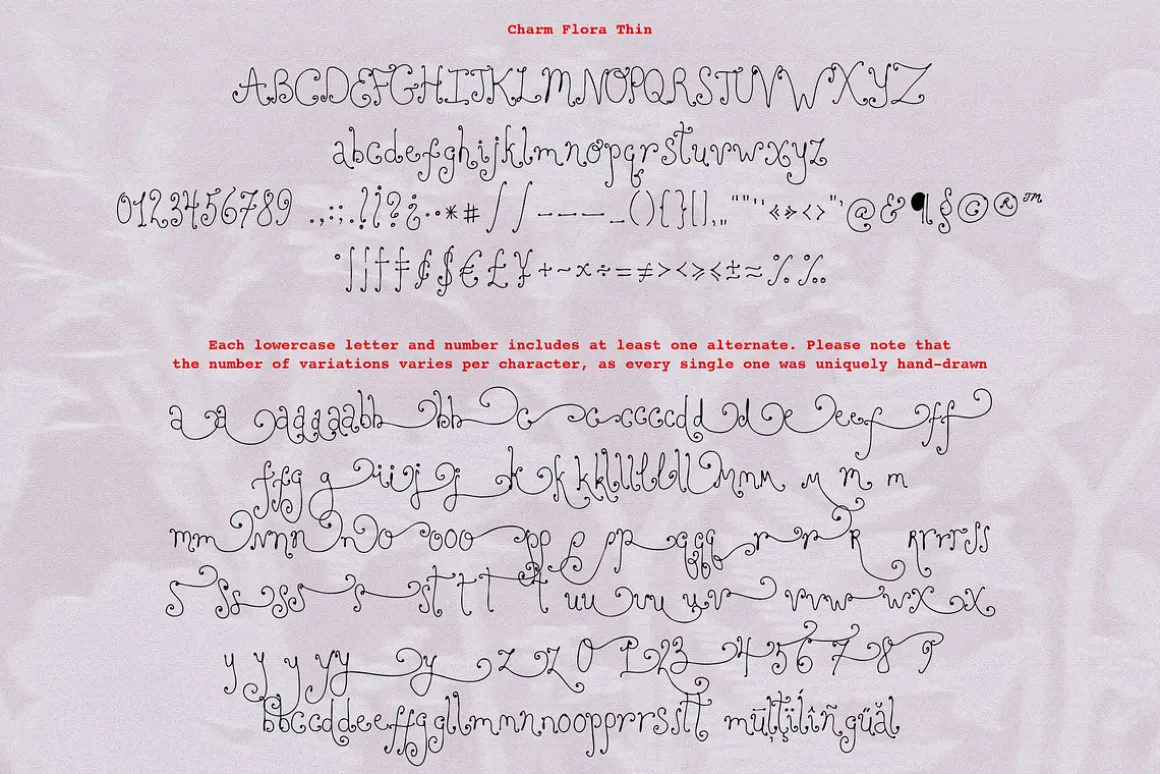 Charm Flora// Curly Font Set