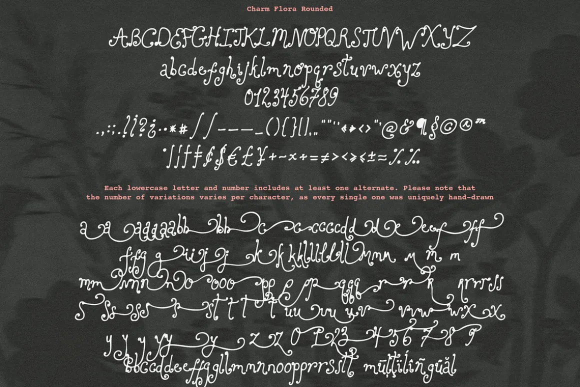 Charm Flora// Curly Font Set
