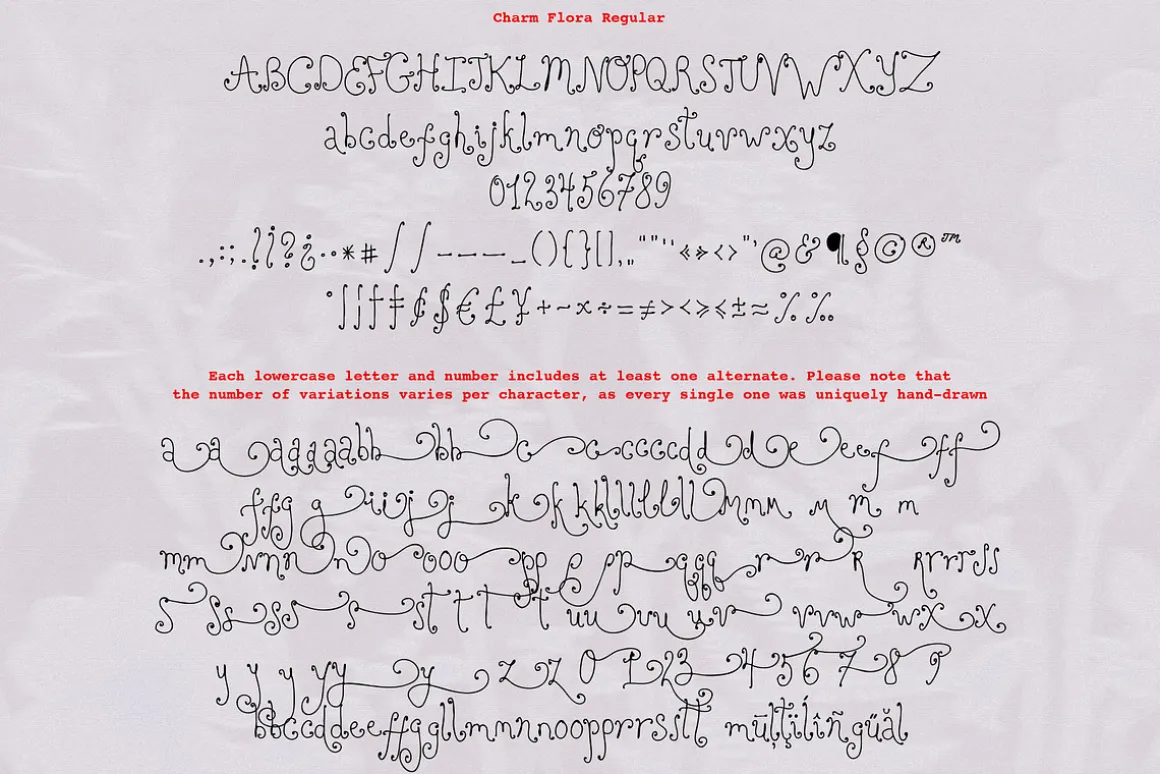 Charm Flora// Curly Font Set