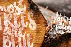 Chasing Embers Typeface