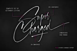 Checkpoint Signature Font