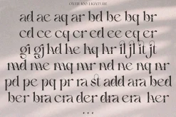 Cherilyn | Ligature Font