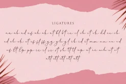 Cherolina-Lovely Elegant Script