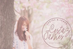 Cherry Blossom