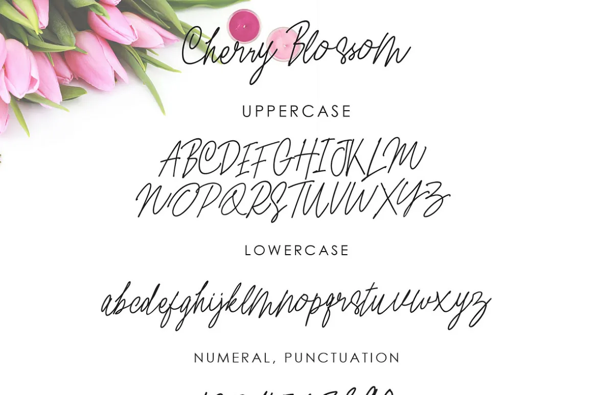 Cherry Blossom