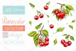Cherry. Watercolor collection