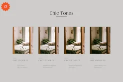 4 Chic Lightroom Presets