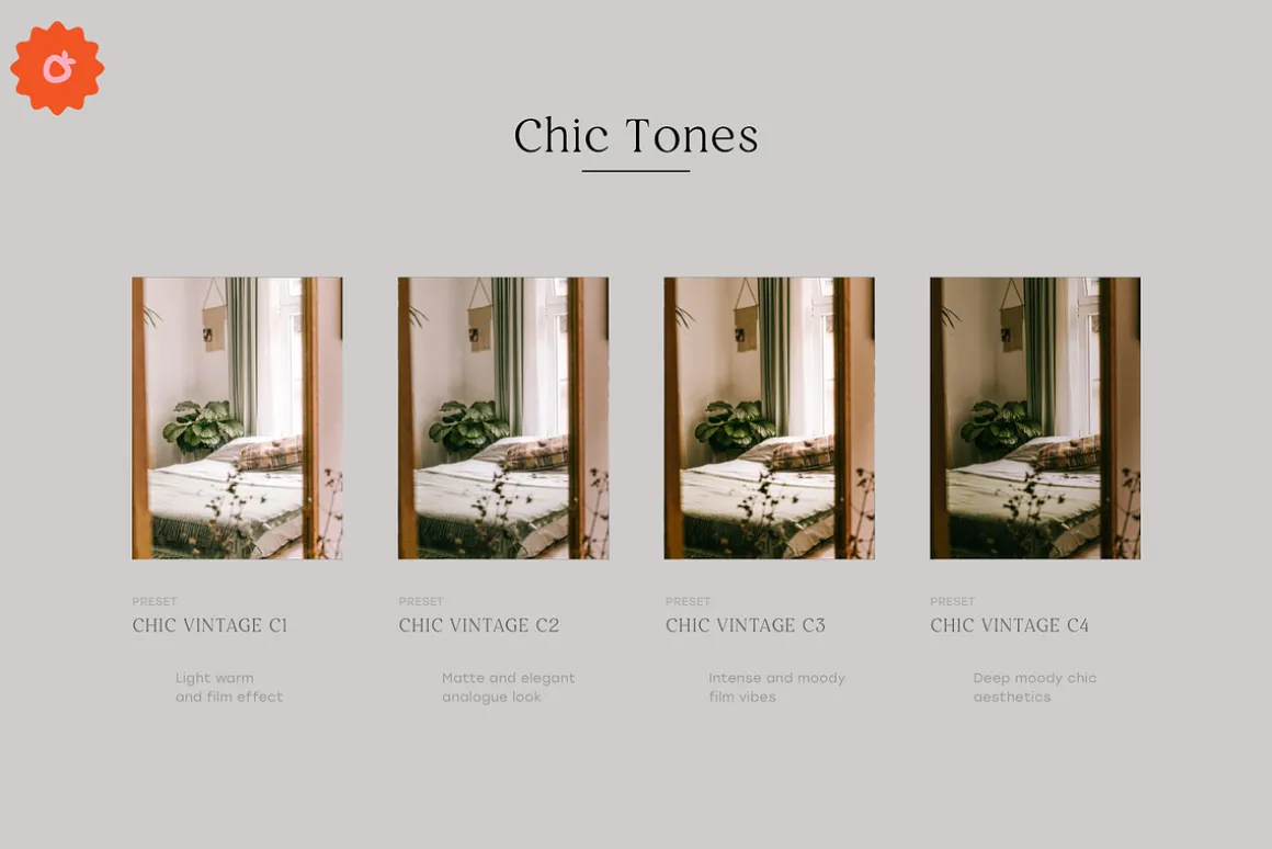 4 Chic Lightroom Presets