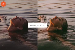 4 Chic Lightroom Presets