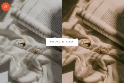 4 Chic Lightroom Presets