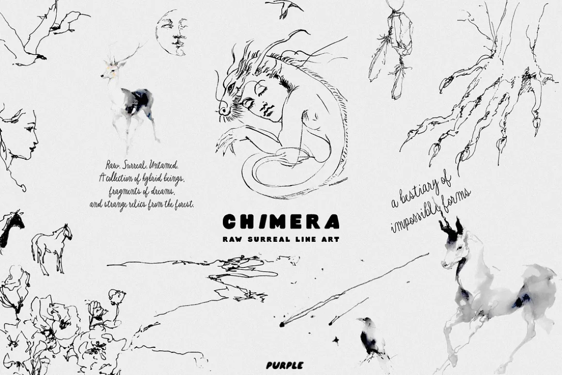 CHIMERA: Raw Surreal Line Art