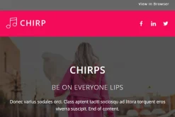 Chirp - Responsive Email Template