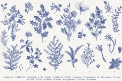 Christmas dreams. Blue & white
