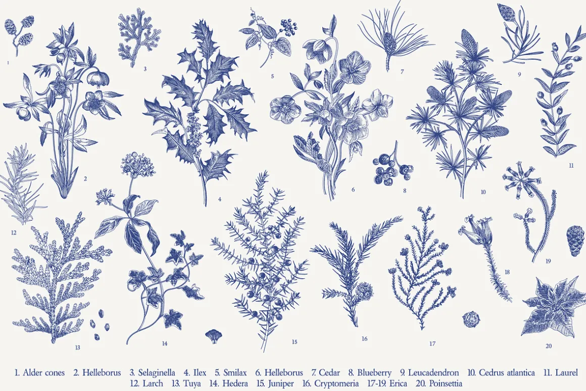 Christmas dreams. Blue & white