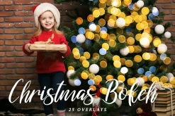 Christmas Trees Lights