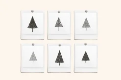 Christmas Trees Vector Illustrations